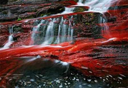 red-creek-1084235-ga