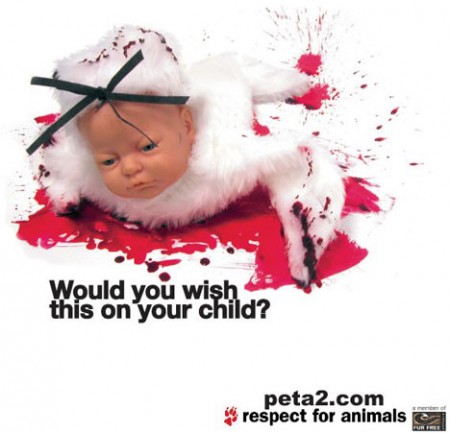 peta3-babyseal