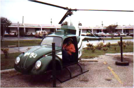 helio beetle helio beetle