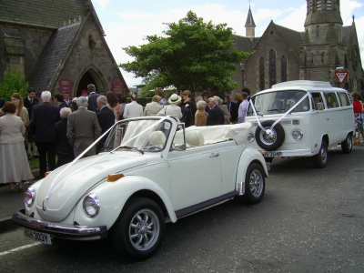 solway beetle solway beetle