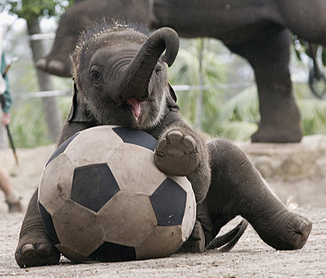 I like football I like football