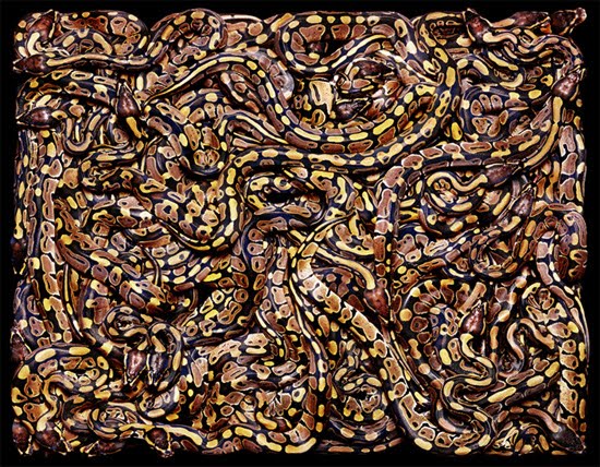 many-snakes many-snakes