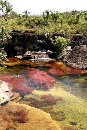 Cano-Cristales2