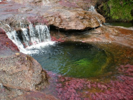 Cano-Cristales6