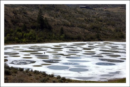 Spotted-Lake-Canada2