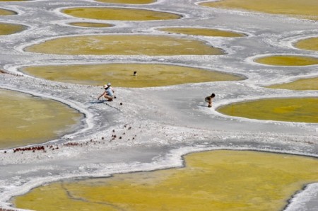 spotted-lake1