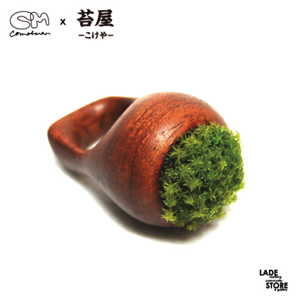 wood-ring-1