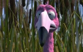 flamingo