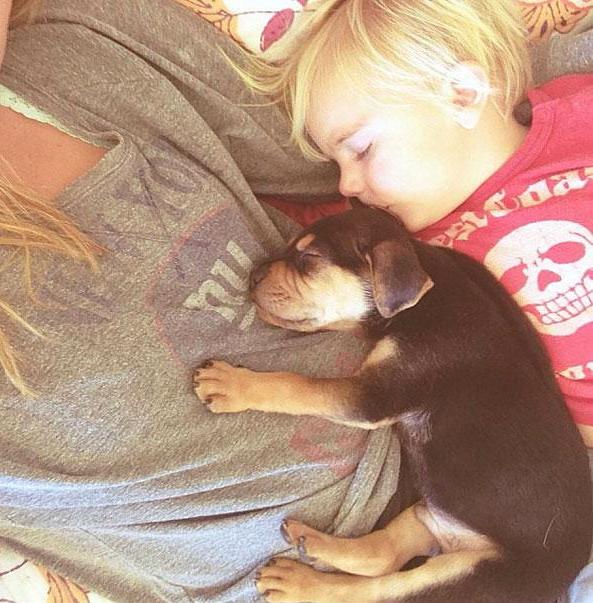 toddler-naps-with-puppy-theo-and-beau-1