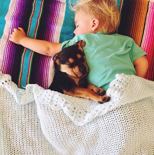 toddler-naps-with-puppy-theo-and-beau-11