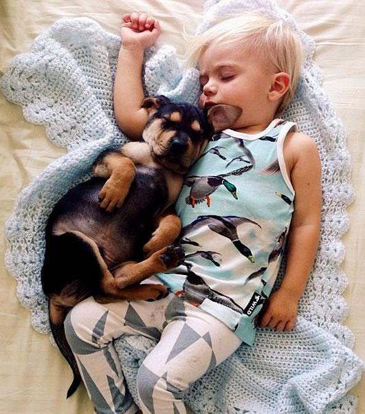 toddler-naps-with-puppy-theo-and-beau-12