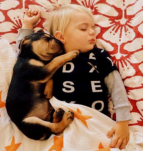 toddler-naps-with-puppy-theo-and-beau-14