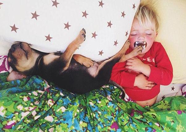 toddler-naps-with-puppy-theo-and-beau-2