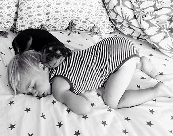 toddler-naps-with-puppy-theo-and-beau-5