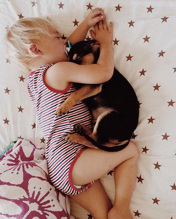 toddler-naps-with-puppy-theo-and-beau-6