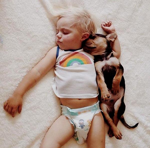 toddler-naps-with-puppy-theo-and-beau-7
