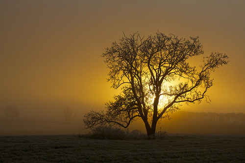 cold cold start by peet-astn on Flickr