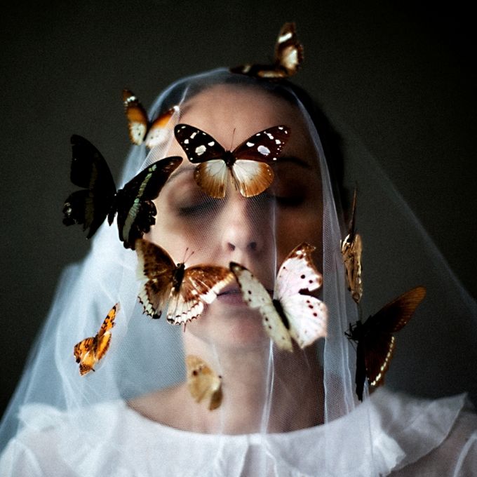 Emmanuelle-Brisson-butterflies