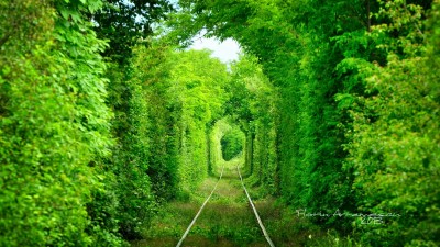 Tunnel of Love romanesc
