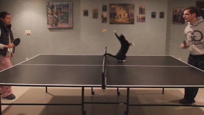 Facem un ping-pong?