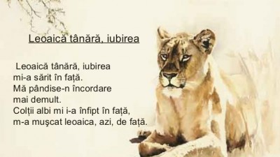 Aproape nimic despre Nichita