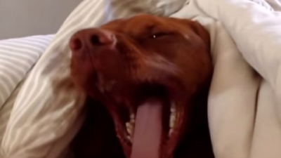 Esti o persoana matinala?