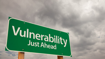 Vulnerabilitatea